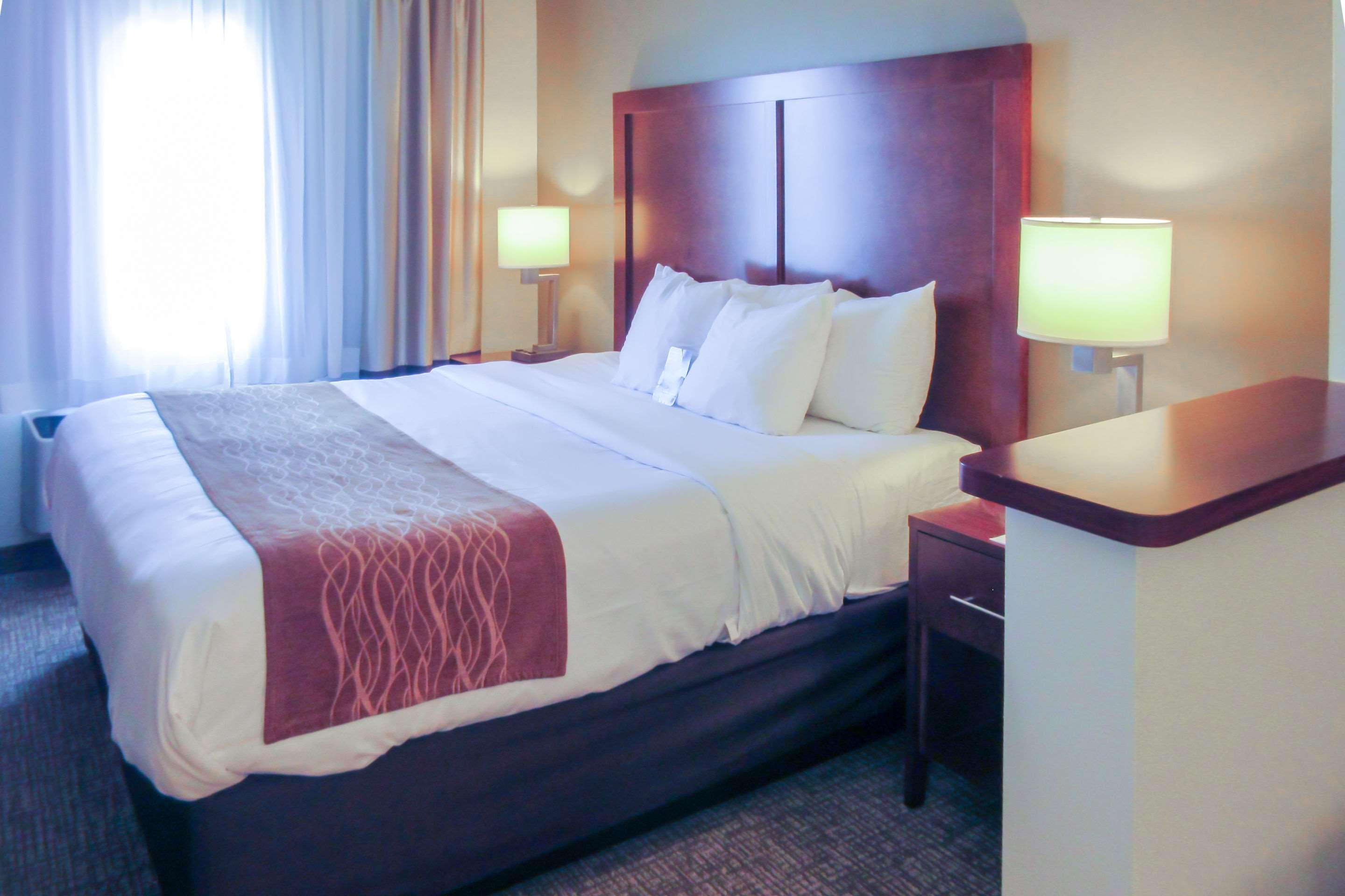 Hotel Comfort & Barre - Arena