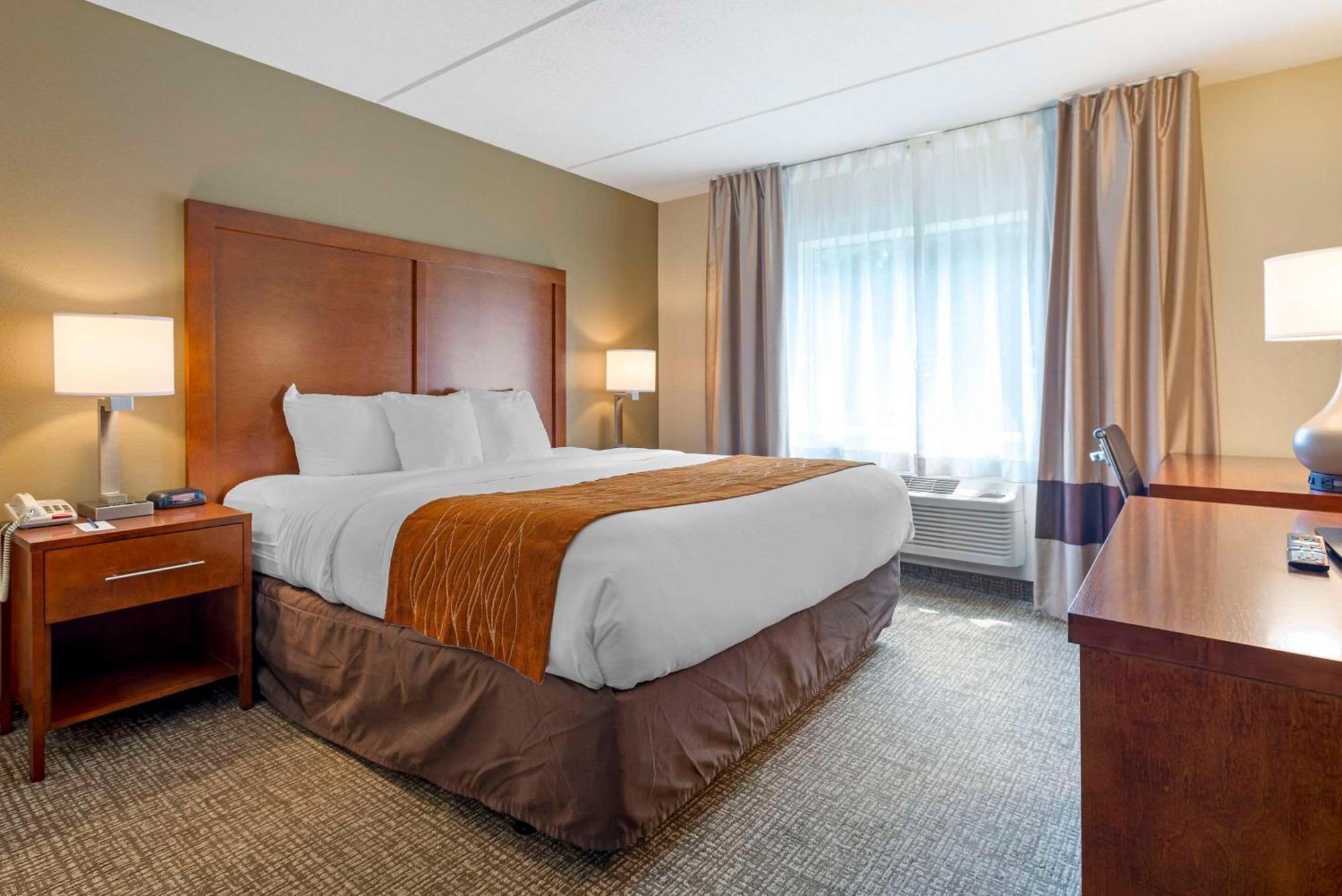 Comfort & Barre - Arena Hotel 2*