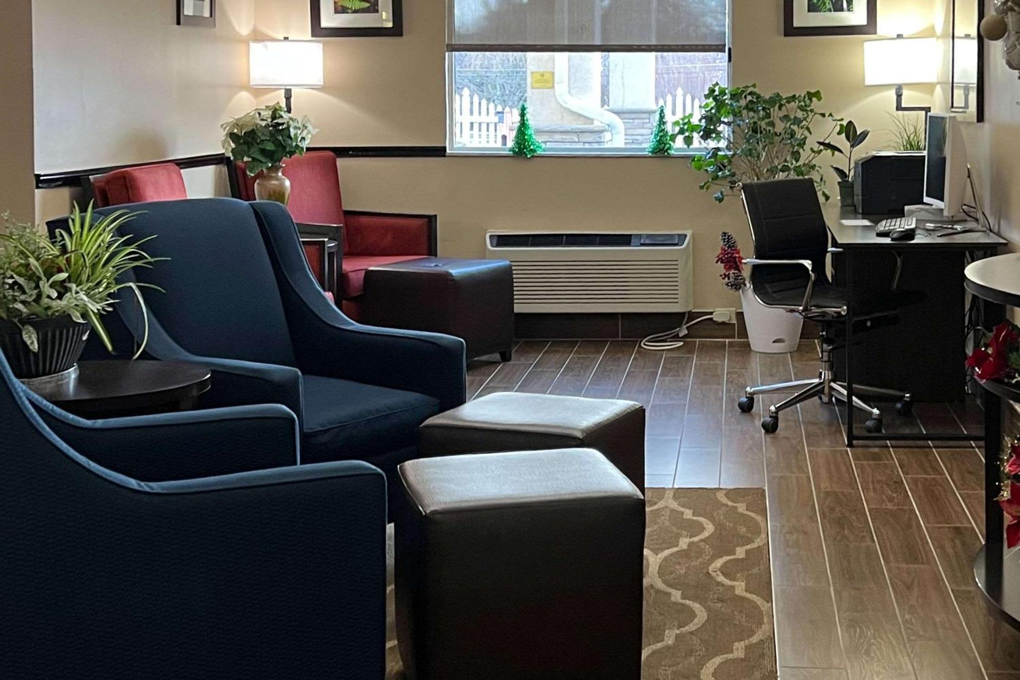 Comfort & Barre - Arena Hotel