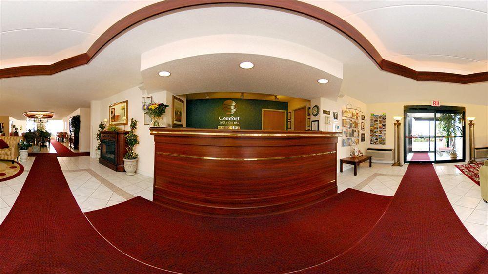 Hotel Comfort & Barre - Arena